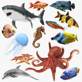 Underwater Animals Big Collection 13 in 1 model